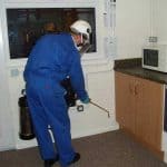 Pest Control Goes Beyond